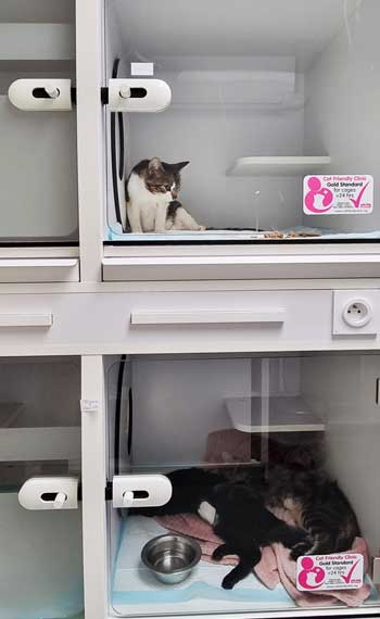 La clinique vétérinaire dispose d'une chatterie climatisée avec puits de lumière pour l'hospitalisation de vos chats