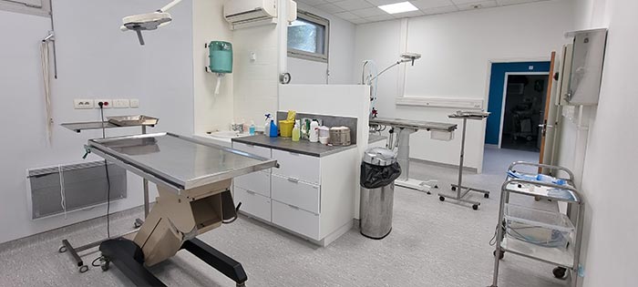 Salle de chirurgie dédiée aux chats avec table d'opération à plateau chauffant
