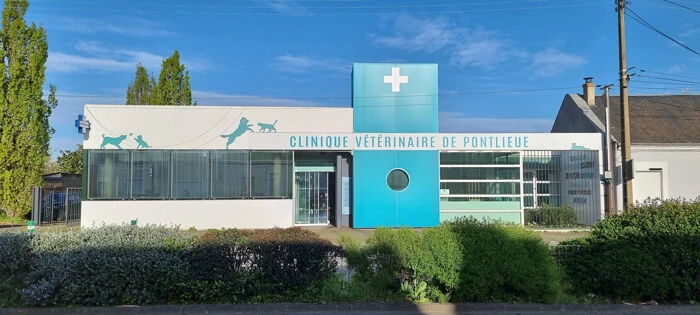 Clinique