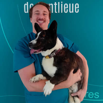 veterinaire-antoine-guerinet