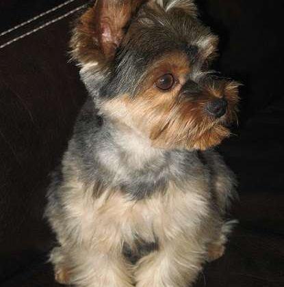 Diego