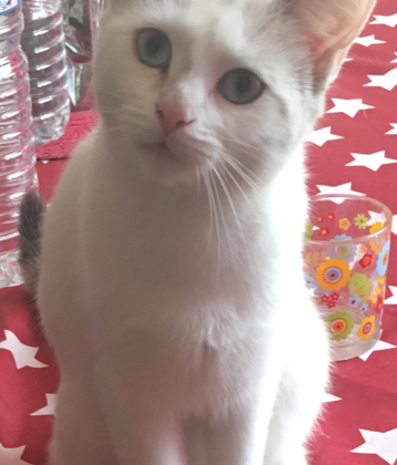 Louna