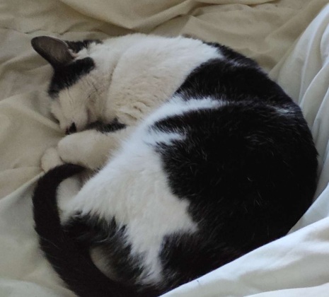 Luna