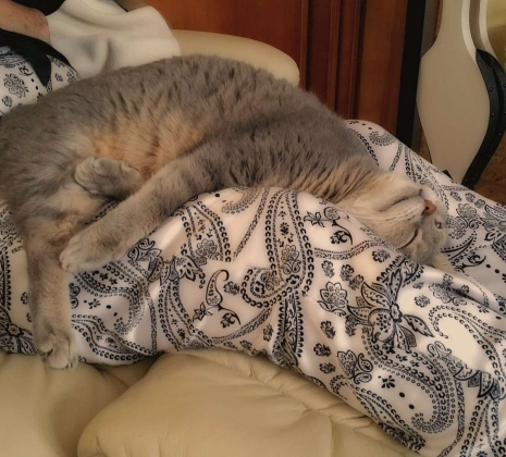 Moumoun-